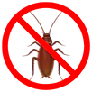 Cockroach Control Moorabbin