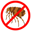 Flea Control Moorabbin