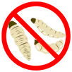 Maggot Control Moorabbin
