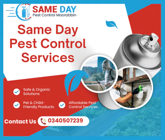 Pest Control Moorabbin