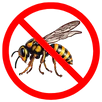Wasp Control Moorabbin