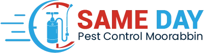 Emergency Carpet Cleaning Plenty website logo